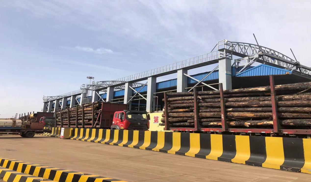 Jiangsu Tianfeng's first overseas imported logs arrived at Lanshan Port